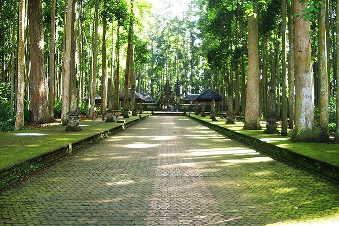 Bali ATV Combined with Mumbul Lake And Sangeh Monkey Forest - Pickup and transfer comfort: where this tour is easiest