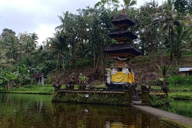 Bali ATV Combined with Mumbul Lake And Sangeh Monkey Forest - Photo moments and what’s extra
