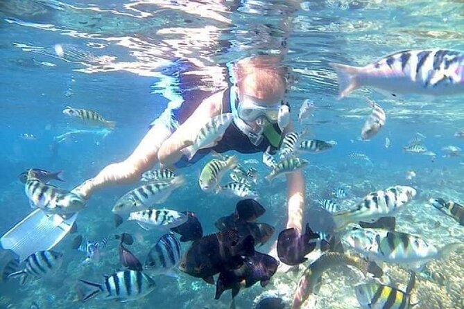 Bali ATV Quad Bike Adventure and Snorkeling Tour - Snorkeling Safari From Padangbai: Two Stops, Coral And Fish By Boat