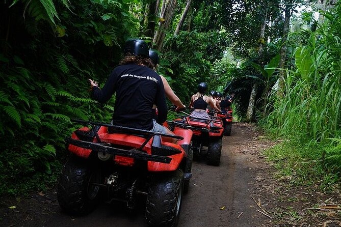 Bali ATV Quad Bike Adventure with Gorilla Cave Pass By Waterfall - Price, value, and who should book this Bali ATV