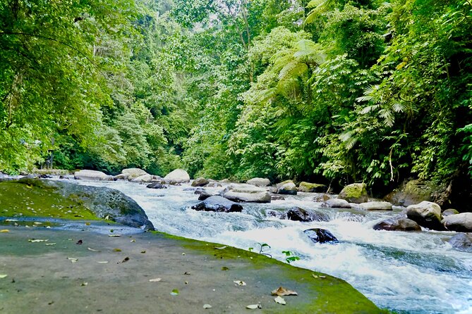 Bali ATV Quad Bike & Ayung River Rafting Combo with Lunch - Lunch and Shower: The Recharge Stop That Makes the Combo Work