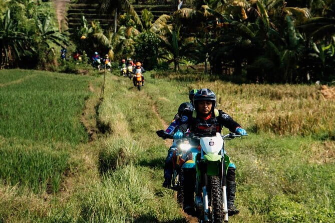 Bali ATV Quad Bike Ubud Swing & Monkey Forest All Inclusive - Should You Book the Bali ATV Quad Bike + Monkey Forest + Swing Tour?