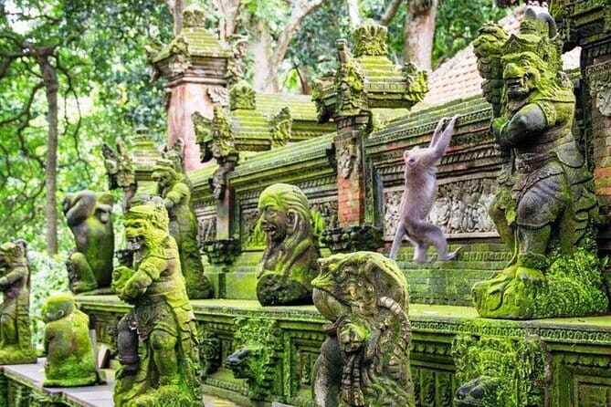Bali ATV Quad Bike Ubud Swing & Monkey Forest All Inclusive - Monkey Forest Sanctuary: Close-Up Wildlife With Rules
