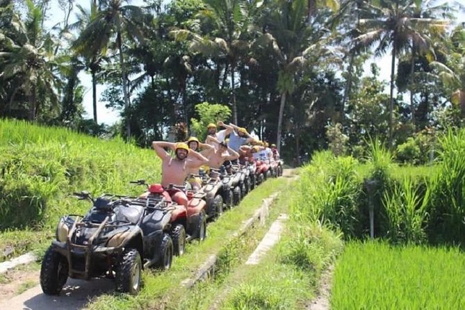 Bali ATV Quad Bike with Monkey Forest and Tegenungan Waterfall - Sangeh Monkey Forest: gray macaques near Hindu temple scenery