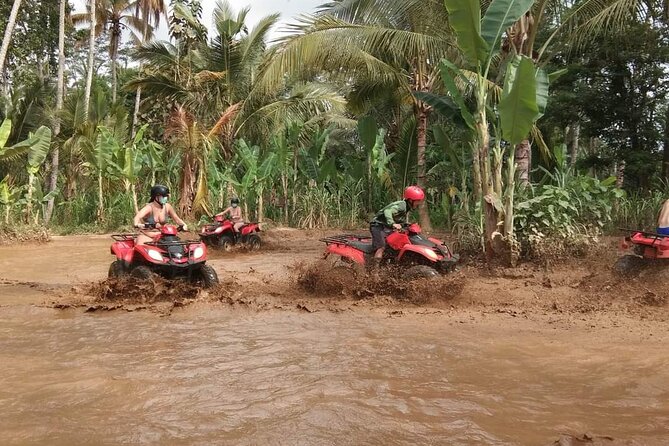 Bali ATV Quadbike Through Gorilla Face Cave - The Route You Came For: Rice Fields, Jungle, Rivers, and Gorilla Face