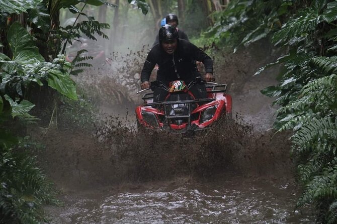 Bali ATV Quadbike Through Gorilla Face Cave - The 6-Hour Timing: What You’ll Likely Feel Day-of