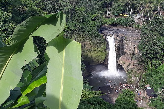 Bali ATV Rafting And Ubud Waterfall Private Tour - The Plantation Coffee or Tea Moment (Small Time, Good Energy)
