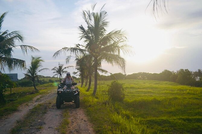 Bali ATV Ride On the Beach, Rice Field and Village Tour 2 Hour - Lunch and water: simple fuel that keeps the day moving