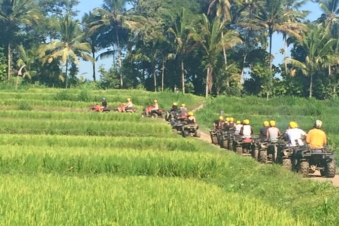 Bali ATV Ride Ubud Jungle Track - ATV Through Ubud Jungle Track: What the Day Feels Like