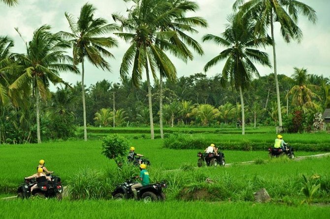 Bali ATV Ride Ubud Jungle Track - The Traditional Village Stop: A Human Break from the Bumps