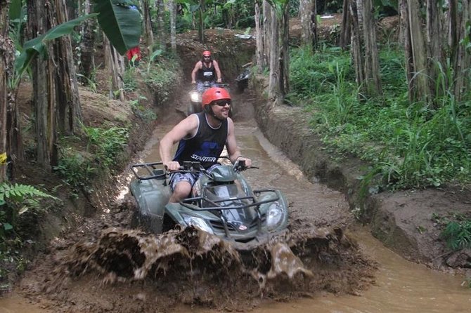 Bali ATV Ride with Jungle Swing and Rice Terrace Tour - Why this Ubud ATV + Swing + Rice Terrace day feels like a full story