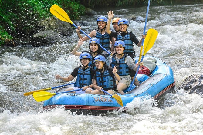 Bali: Ayung River White Water Rafting Adventure - The Ayung River run: about 2 hours of paddling and scenery