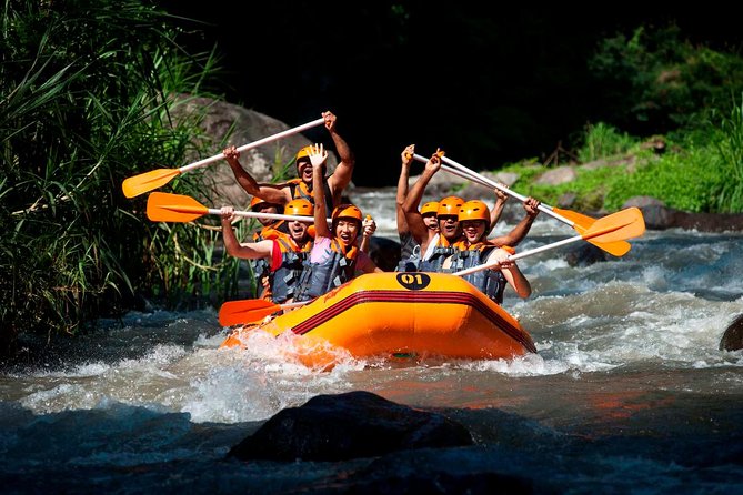 Bali Ayung River White Water Rafting with Transport - Key highlights at a glance