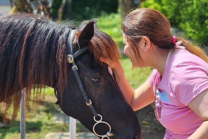 Bali Beach Horse Riding combo with waterfall All Inclusive - Who this tour fits best (and who should skip it)
