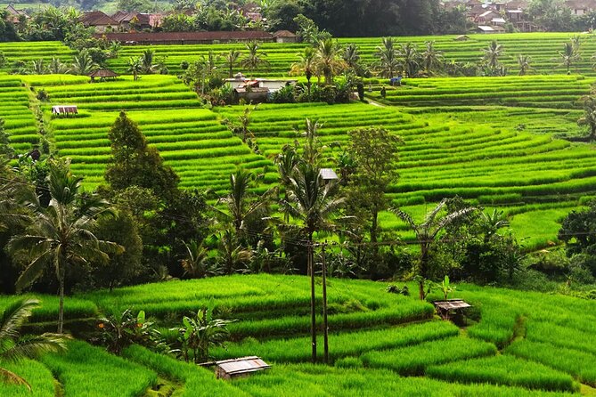Bali: Bedugul Lake Temple, Banyumala Waterfall, UNESCO Rice Field - Ulun Danu Beratan Temple on Lake Beratan: Bali’s postcard, up close