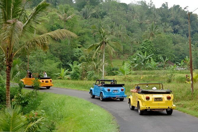 Bali: Bedugul Temple, Banyumala Waterfall, UNESCO Rice Terrace - Who this private tour suits best (and who should pass)