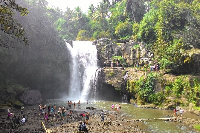 Bali Benoa Shore Excursion for cruise's passenger - All Inclusive - Ubud terraces: Tegalalang for views, Ceking for lunch with a view
