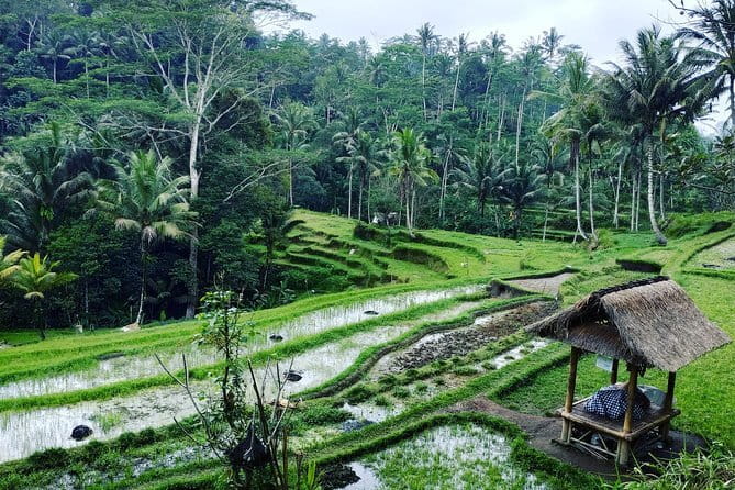 Bali: Best Eastern Waterfalls with Private Bali Tours - Price and Value: What $39 Really Buys You