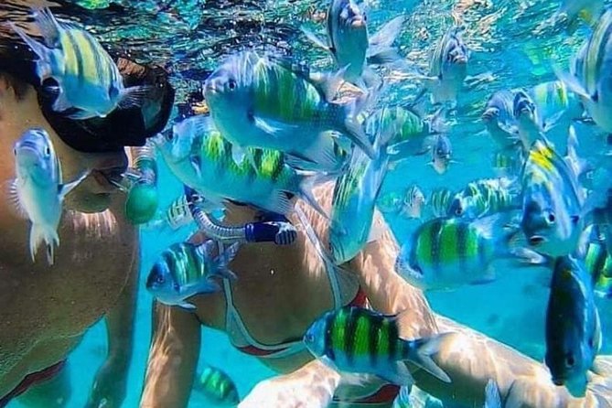 Bali Best Snorkeling at Blue Lagoon - Key highlights if you’re choosing this Bali snorkeling tour