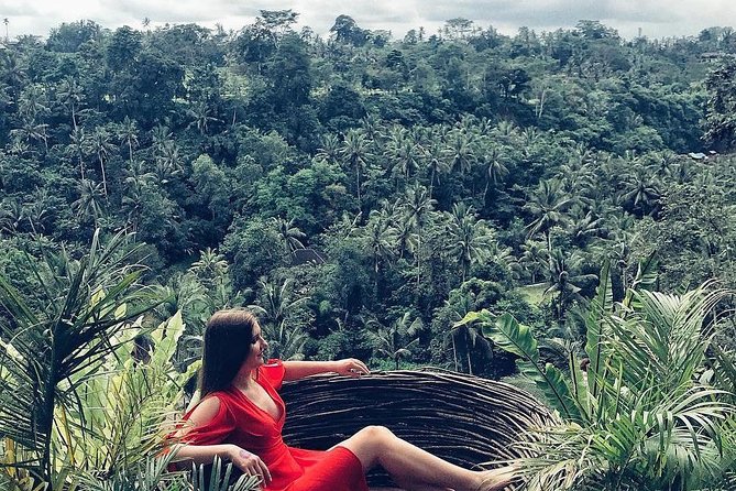 Bali BEST Things to Do Private Full-day Tour from Your Hotel - Tegenungan waterfall and Tirta Empul: spiritual Bali with a wet twist