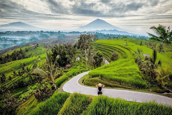 Bali BEST Things to Do Private Full-day Tour from Your Hotel - Gallery to swing upgrade: making the day more fun, not just more stops