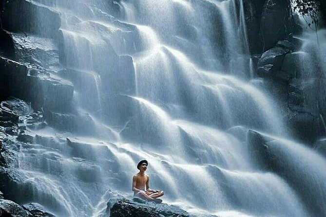 Bali best waterfall - The driver and the little things that make it work
