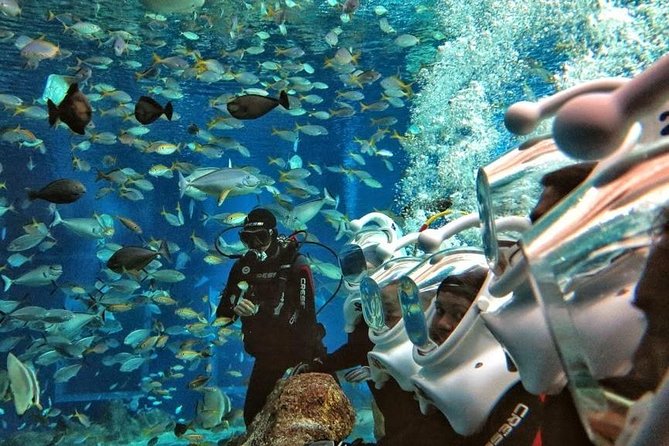 Bali Best Watersport Sea walker,Parasailing adventure,Jet sky - How This Bali Watersports Combo Works in Real Life (Not Just on Paper)