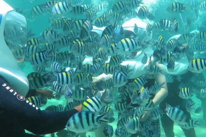 Bali Best Watersport Sea walker,Parasailing adventure,Jet sky - Jet Ski in Tanjung Benoa: 15 Minutes of Pure Motion