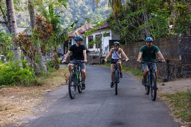 Bali Bike Tour Ubud Area - Key highlights at a glance