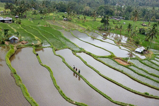 Bali Bike Tour Ubud Area - Guides like Kumbara and Yande turn scenery into stories you remember