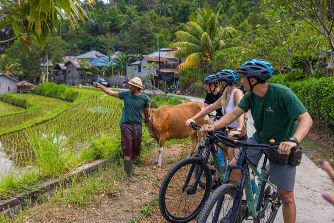 Bali Bike Tour Ubud Area - The Balinese lunch finish: food, family space, and a calmer ending