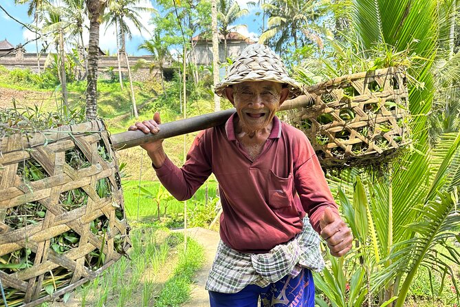 Bali Bike Tour Ubud Area - Price and value: is $67.28 a good deal for six hours in the countryside?