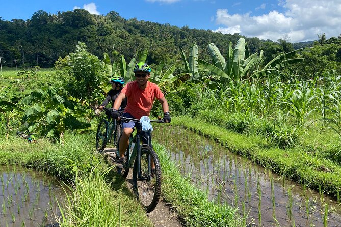 Bali Bike Tour Ubud Area - Bikes, helmets, and the safety car that makes the ride easier