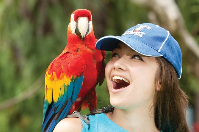 Bali Bird Park Admission Ticket - Bali Bird Park in Ubud: A Half-Day That Actually Feels Easy