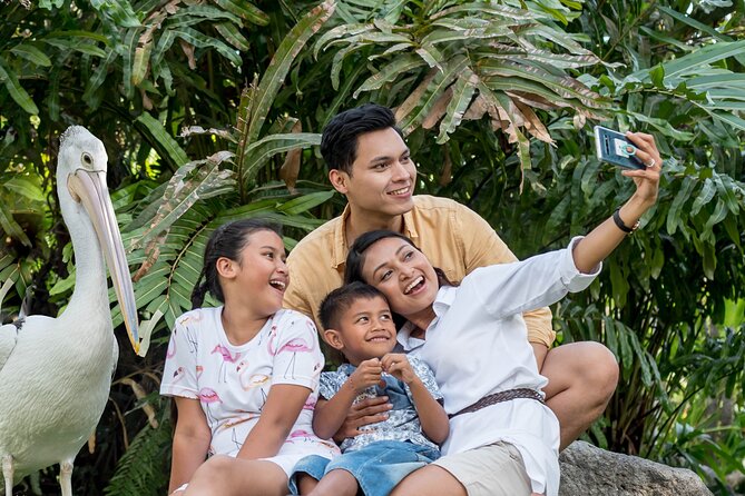 Bali Bird Park Admission Ticket - Interactive Feeding Sessions: The Hands-On Part Families Love