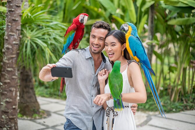 Bali Bird Park Admission Ticket - The 4D Movie: A Useful Reset in the Middle