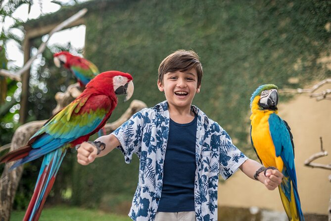 Bali Bird Park Admission Ticket - Don’t Miss the Park’s Star Moments