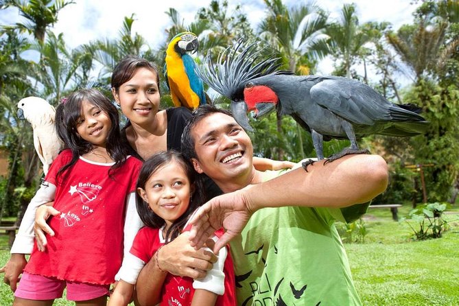 Bali Bird Park Admission Ticket with Hotel Transfer - Bali Bird Park: why the birds feel like the main event