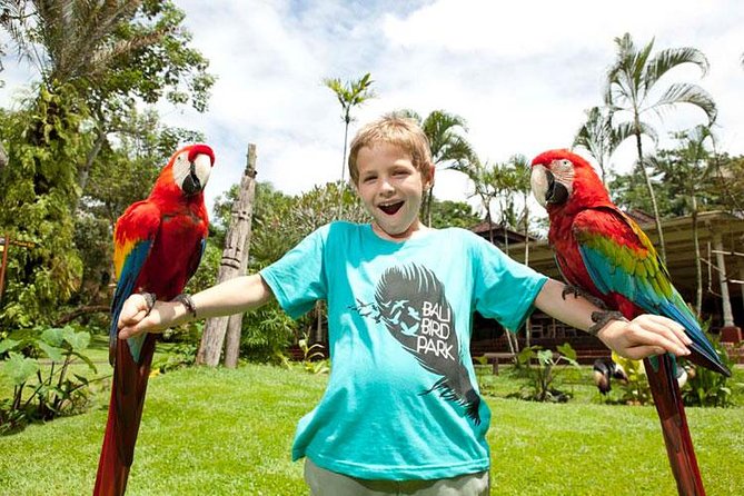 Bali Bird Park Admission Ticket with Hotel Transfer - Transfers vs. DIY: where the $38 value really comes from