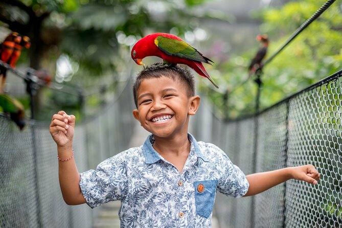 Bali Bird Park Admission Ticket - Timing Your Day: How to Use 9am–5pm Access Well