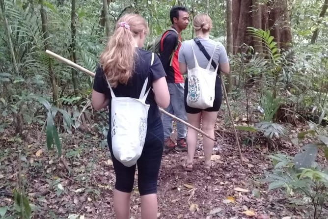 Bali Blue Lagoon Snorkeling and Waterfall Day Tour with Lunch - Tanjung Jepun: Calmer Water and Beginner-Friendly Snorkeling