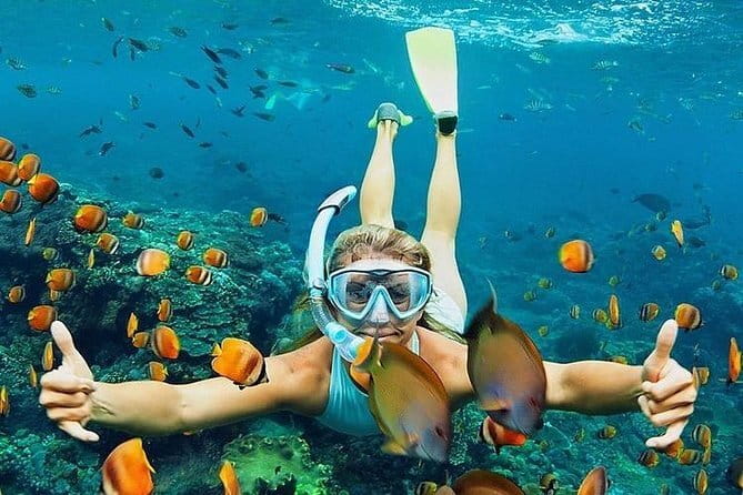 Bali : Blue Lagoon Snorkeling combine with Bali Swing in Ubud - Tegalalang Rice Terrace Jungle Swing: the big photo payoff near Ubud