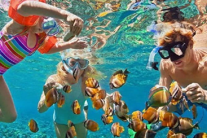 Bali : Blue Lagoon Snorkeling combine with Bali Swing in Ubud - Pickup and drop-off across Bali: less friction, more daylight