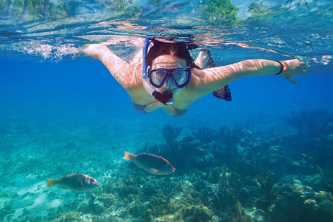 Bali Blue Lagoon Snorkeling Experience - The jukung boat ride: practical, local, and part of the fun