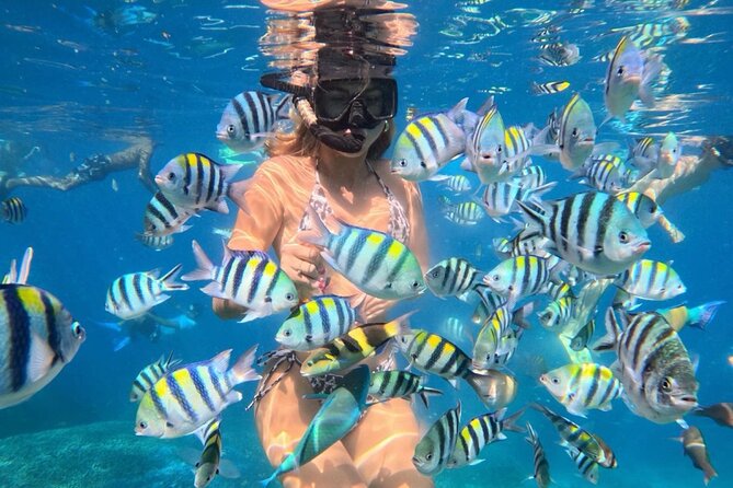 Bali Blue Lagoon Snorkeling - Lunch and Transport All Inclusive - Key Highlights You’ll Feel Immediately