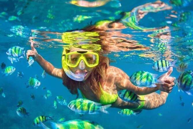 Bali Blue Lagoon Snorkeling - Lunch and Transport All Inclusive - Why This East Bali Day Works: Temple Photos First, Reef Time Later