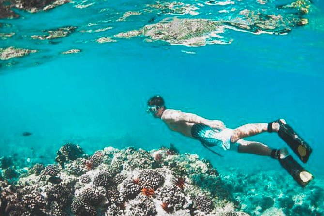 Bali Blue Lagoon Snorkeling - Lunch and Transport All Inclusive - Lempuyang Temple and the Gates of Heaven Viewpoint: Go Early for the Photos
