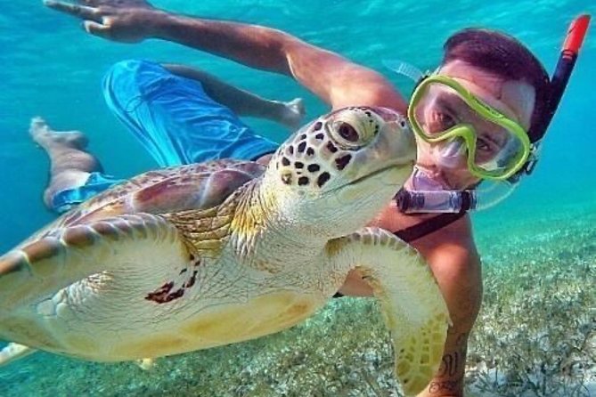 Bali Blue Lagoon Snorkeling - Lunch and Transport All Inclusive - Tanjung Jepun: The Second Snorkel Stop Gives You Extra Underwater Time