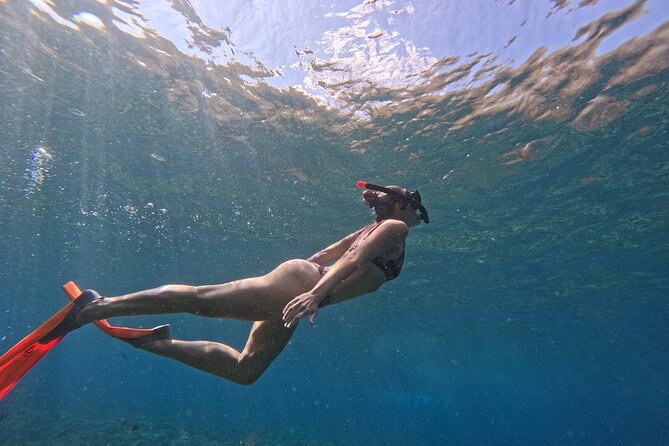 Bali Blue Lagoon Snorkeling - Lunch and Transport All Inclusive - Coffee Plantation Stop: How Balinese Coffee Gets Made