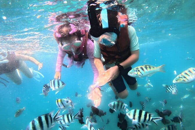 Bali Blue Lagoon Snorkeling Tour All Inclusive - What happens after snorkeling: lunch, timing, and mental reset